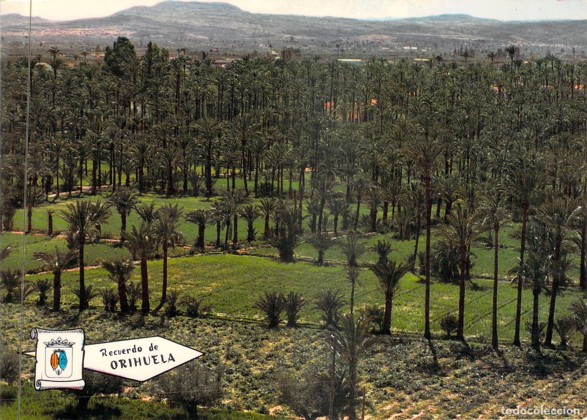 Postales: Postal de El Palmeral de Orihuela, Alicante