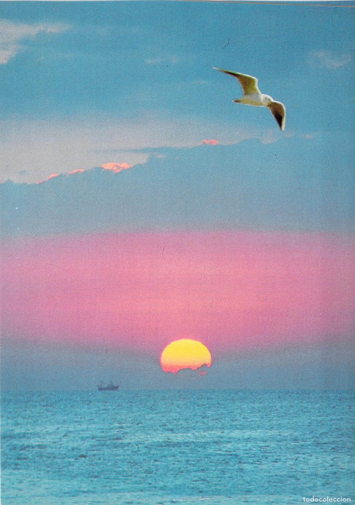 Postales: Postal de Atardecer con Gaviota en Vilassar de Mar, Barcelona