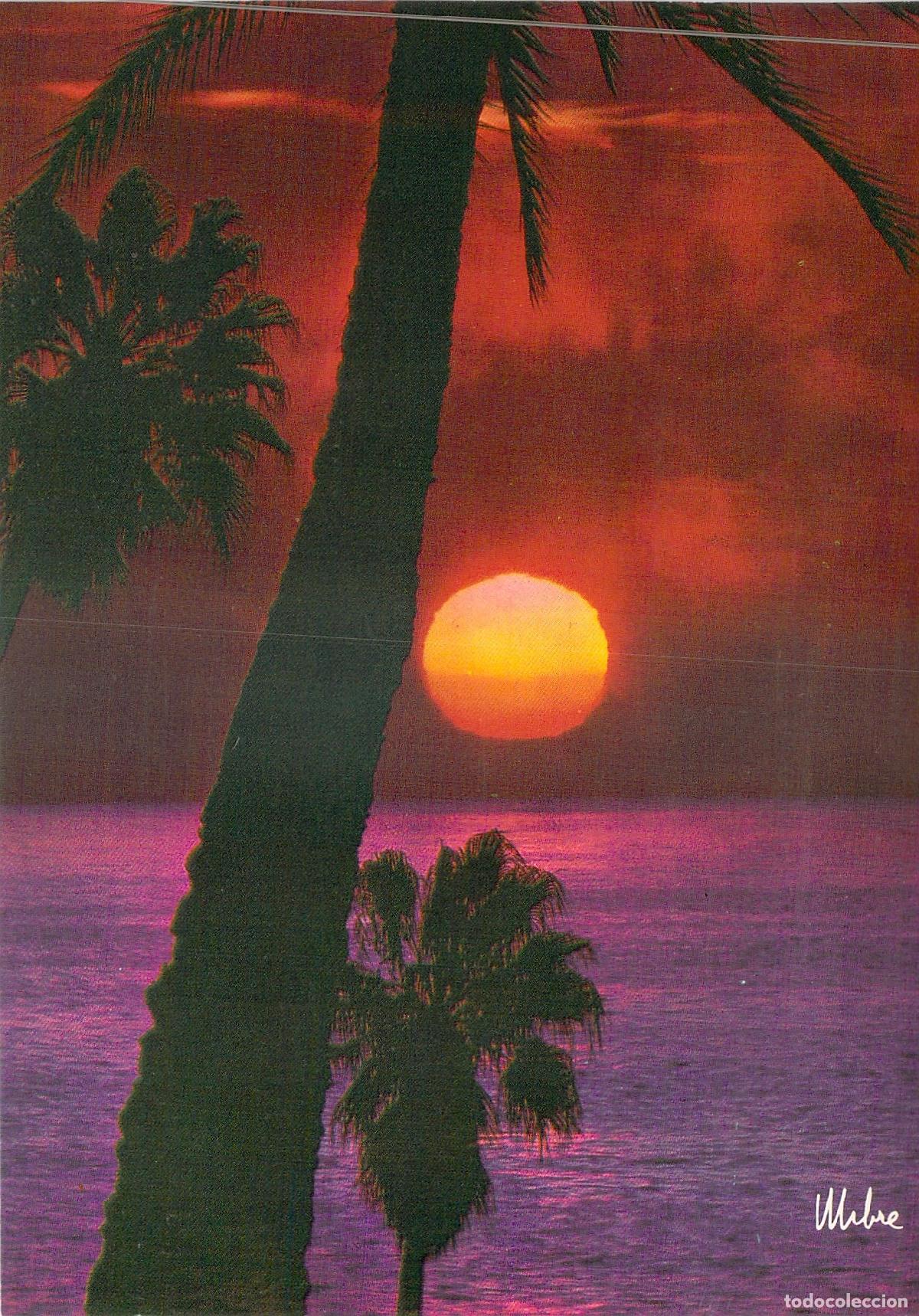 Postales: Postal Atardecer con Palmeras en la Costa, Vilassar de Mar