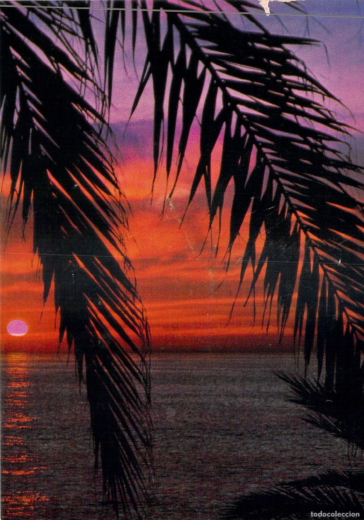 Postales: Postal Art&iacute;stica de Atardecer Tropical con Palmeras