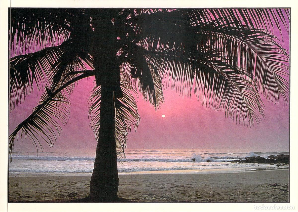 Postales: Postal de Playa Tropical con Palmera al Atardecer - Foto 1