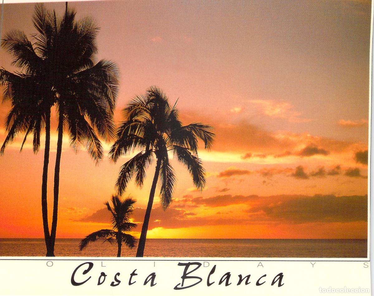 Postales: Postal de Atardecer con Palmeras en la Costa Blanca, Espa&ntilde;a