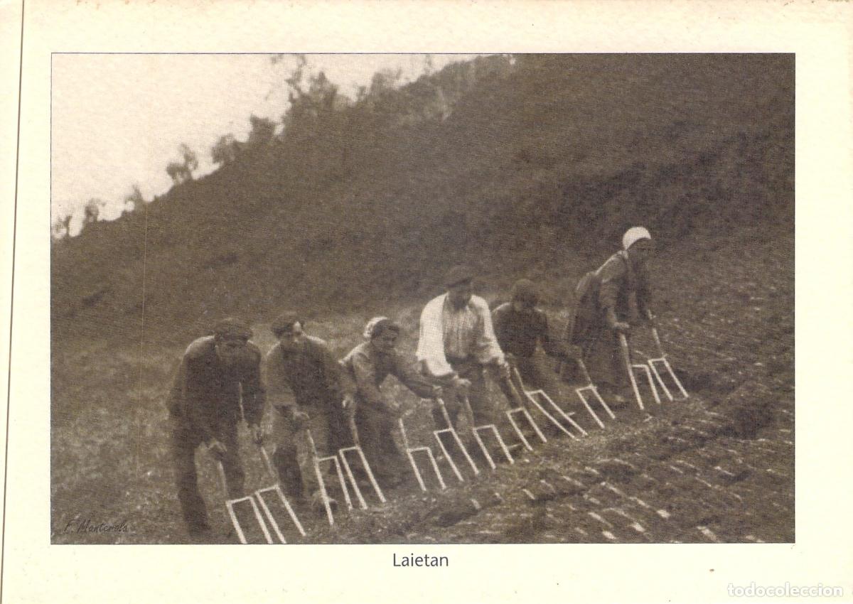 Postales: Postal Artea Bizkaia Labradores con Laias Ecomuseo