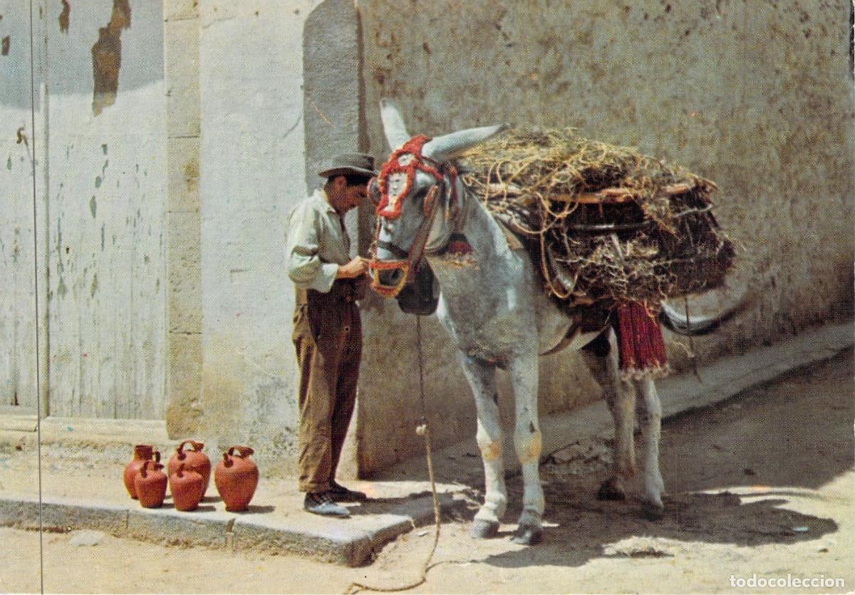 Postales: Postal de Vendedor de Botijos con Burro - Recuerdo de Espa&ntilde;a