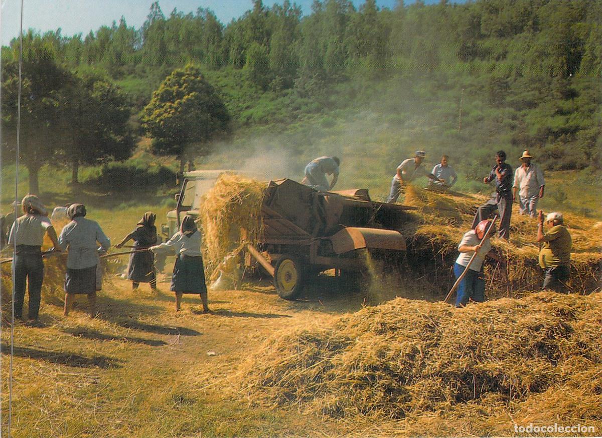 Postcards: Postal de Ribadelago: Trillando en el Lago de Sanabria