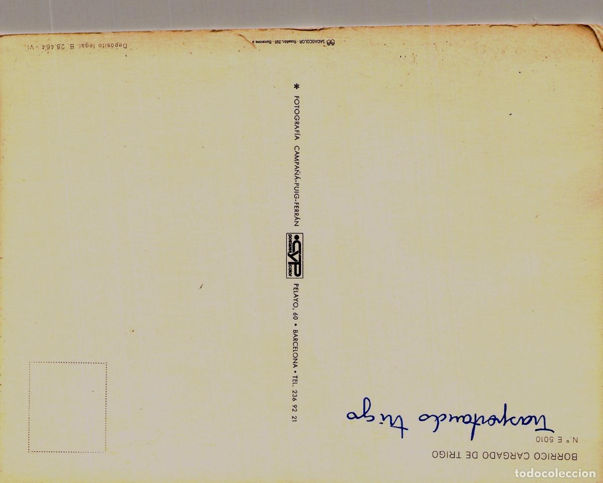 Postales: Tarjeta Postal de Borrico Cargado de Trigo - Foto 2