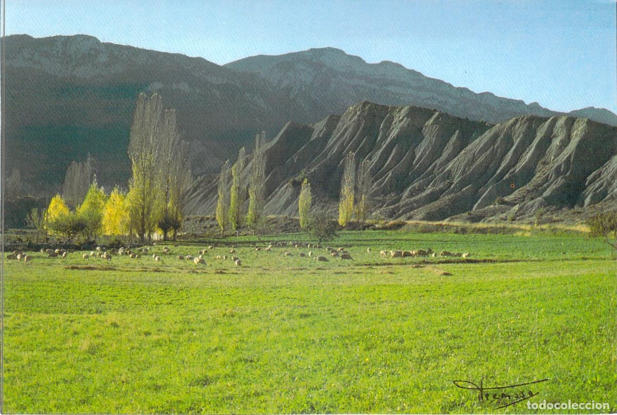 Postales: Postal Valle de Bardaj&iacute; Campo Pirineo Aragon&eacute;s Huesca