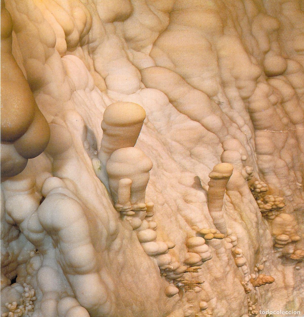 Postales: Postal Aracena, Huelva: Gruta de las Maravillas, Sala de los Desnudos