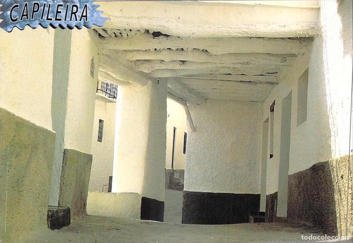 Postales: Postal de Capileira - T&iacute;pico Tinao en Las Alpujarras, Granada