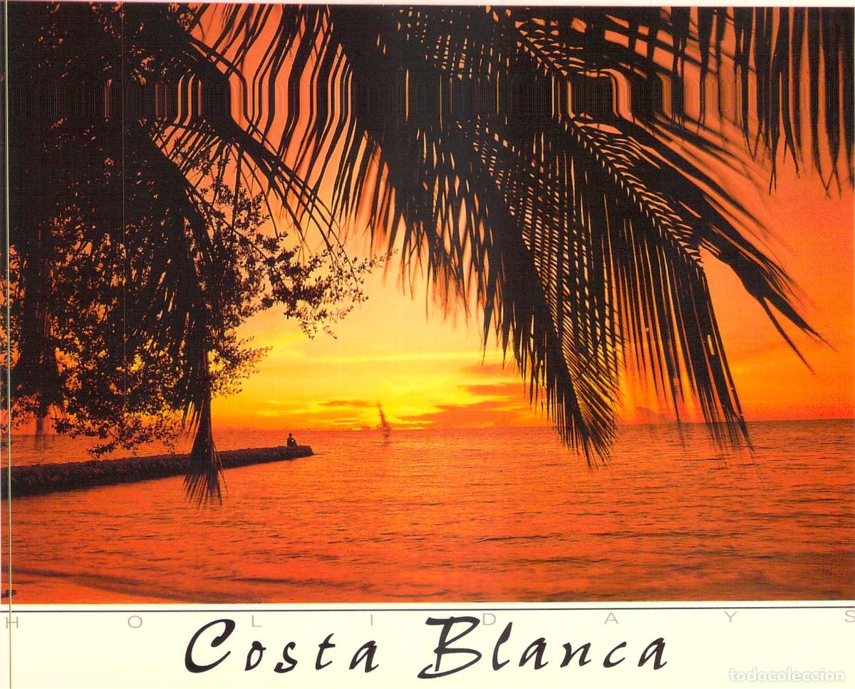 Postales: Postal de Costa Blanca Atardecer con Palmeras