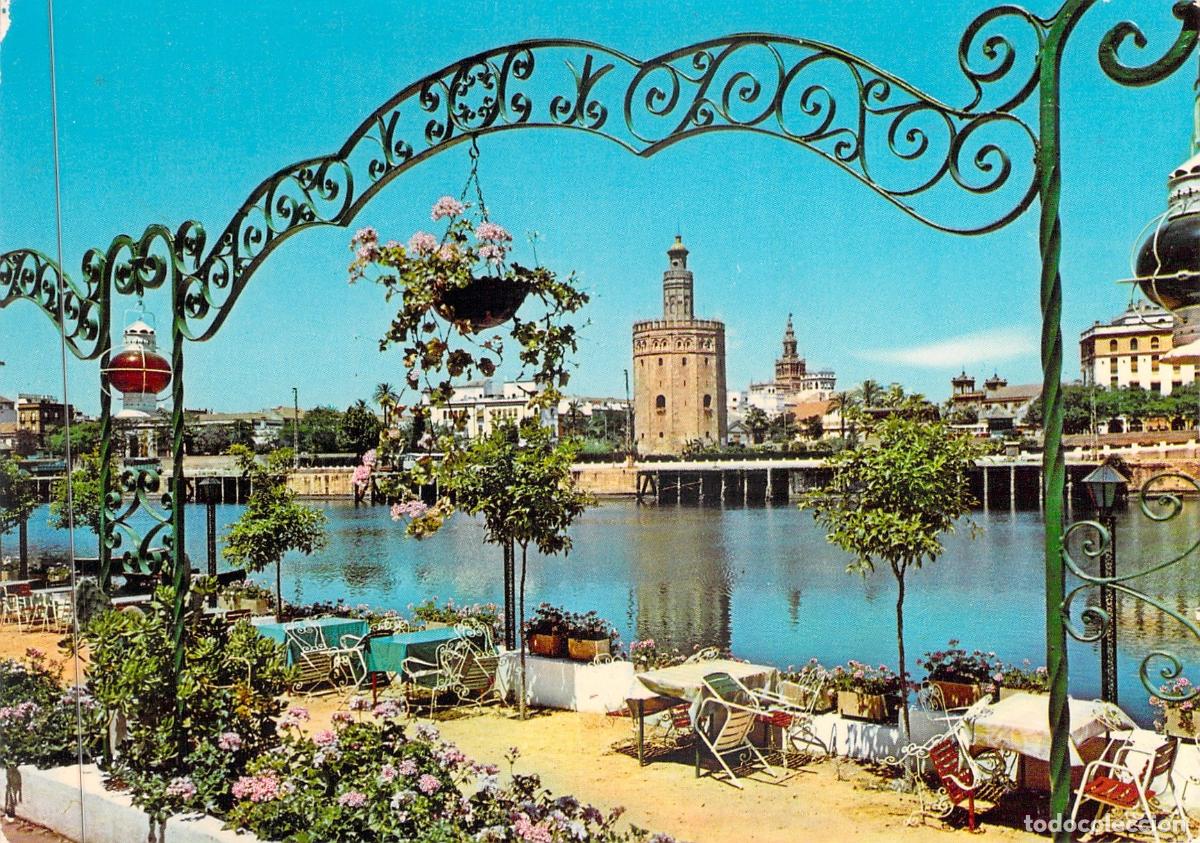 Postales: Postal de Sevilla: Torre del Oro y r&iacute;o Guadalquivir desde una terraza