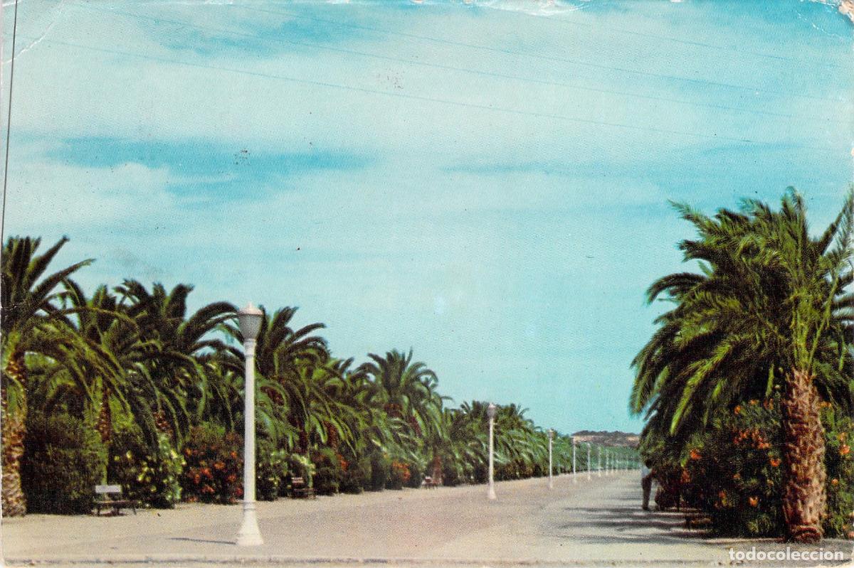 Postales: Postal de Salou, Paseo El Conquistador con Palmeras