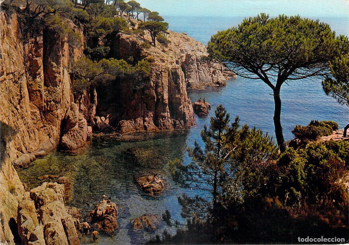 Postales: Postal de la Costa Brava, Paisaje de Cala y Pinos, Catalu&ntilde;a