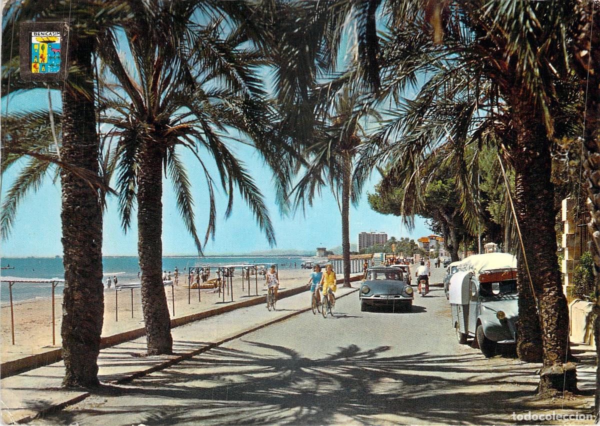 Postcards: Postal de Benic&agrave;ssim Castell&oacute;n Paseo de las Villas con Palmeras
