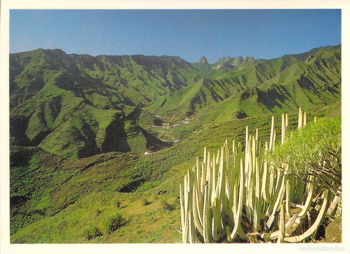 Postales: Postal Chejelipe y Roque Agando, La Gomera, Islas Canarias - Foto 1