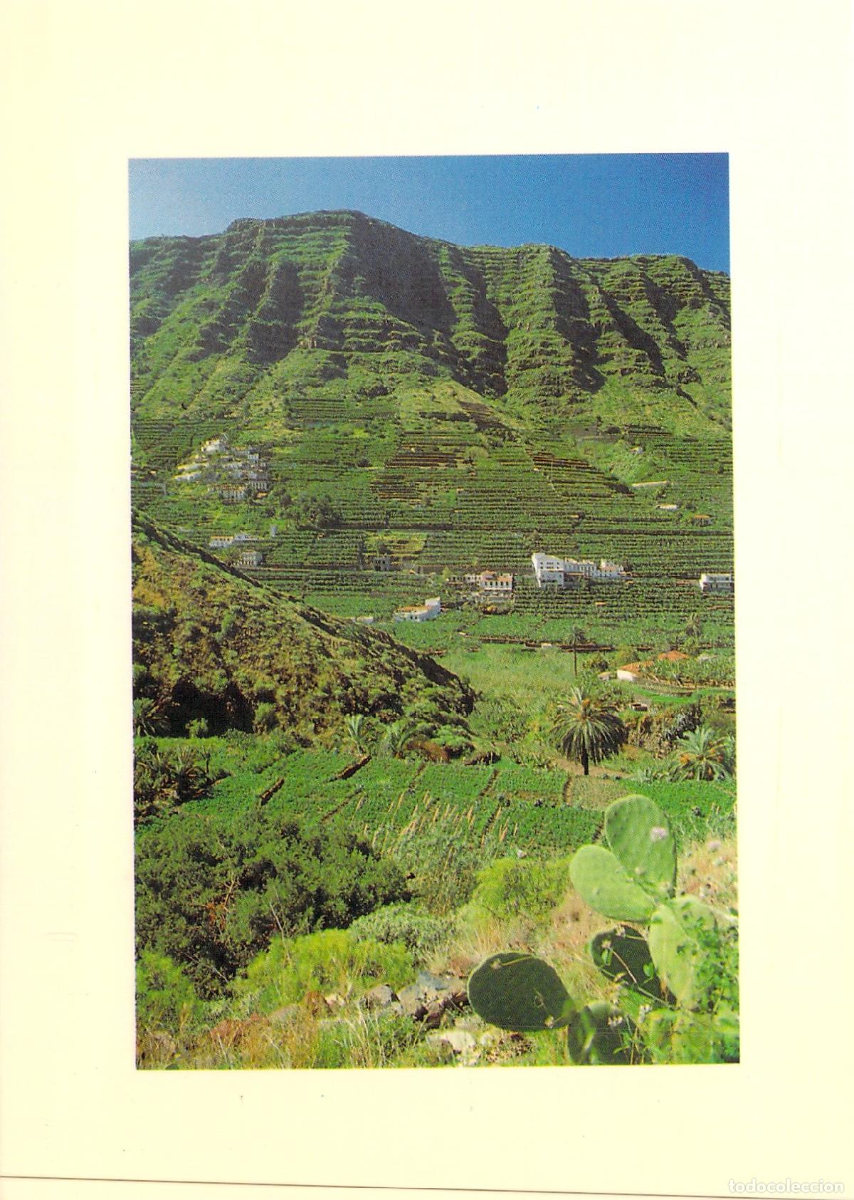Postales: Postal de Hermigua, La Gomera - Paisaje de Valle y Terrazas