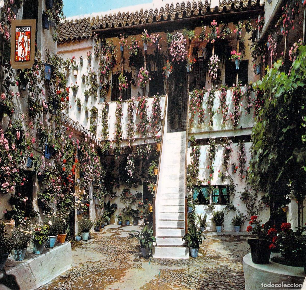 Postales: Postal de Patio Cordob&eacute;s con Flores y Macetas en C&oacute;rdoba