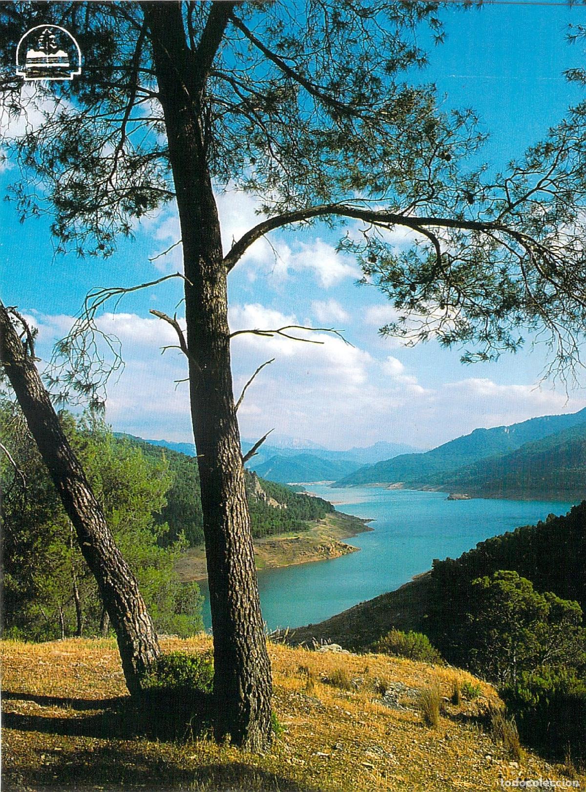 Postales: Postal del Parque Natural de Cazorla, Tranco de Beas (Ja&eacute;n)
