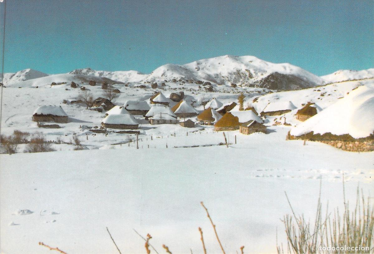 Postcards: Postal de Campo del Agua bajo la nieve, Los Ancares, Le&oacute;n