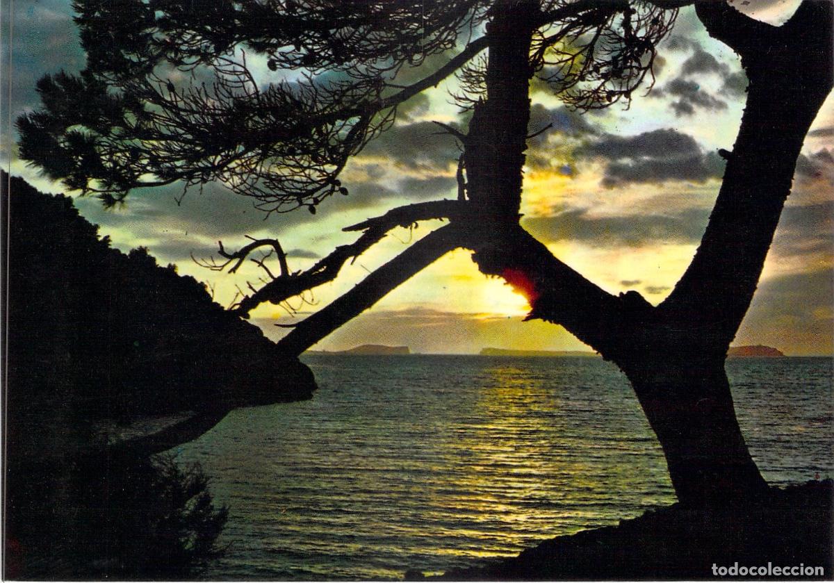 Postales: Postal de la Salida del Sol en la Costa de Espa&ntilde;a