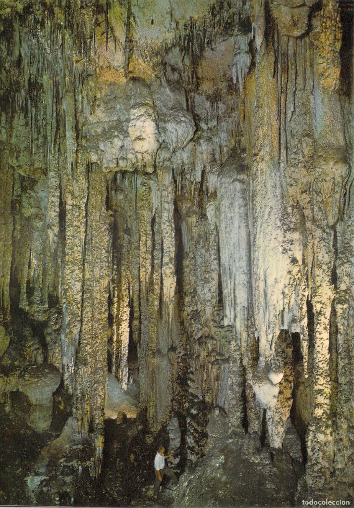 Postales: Postal Cueva de Art&aacute; Mallorca Sal&oacute;n de Columnas