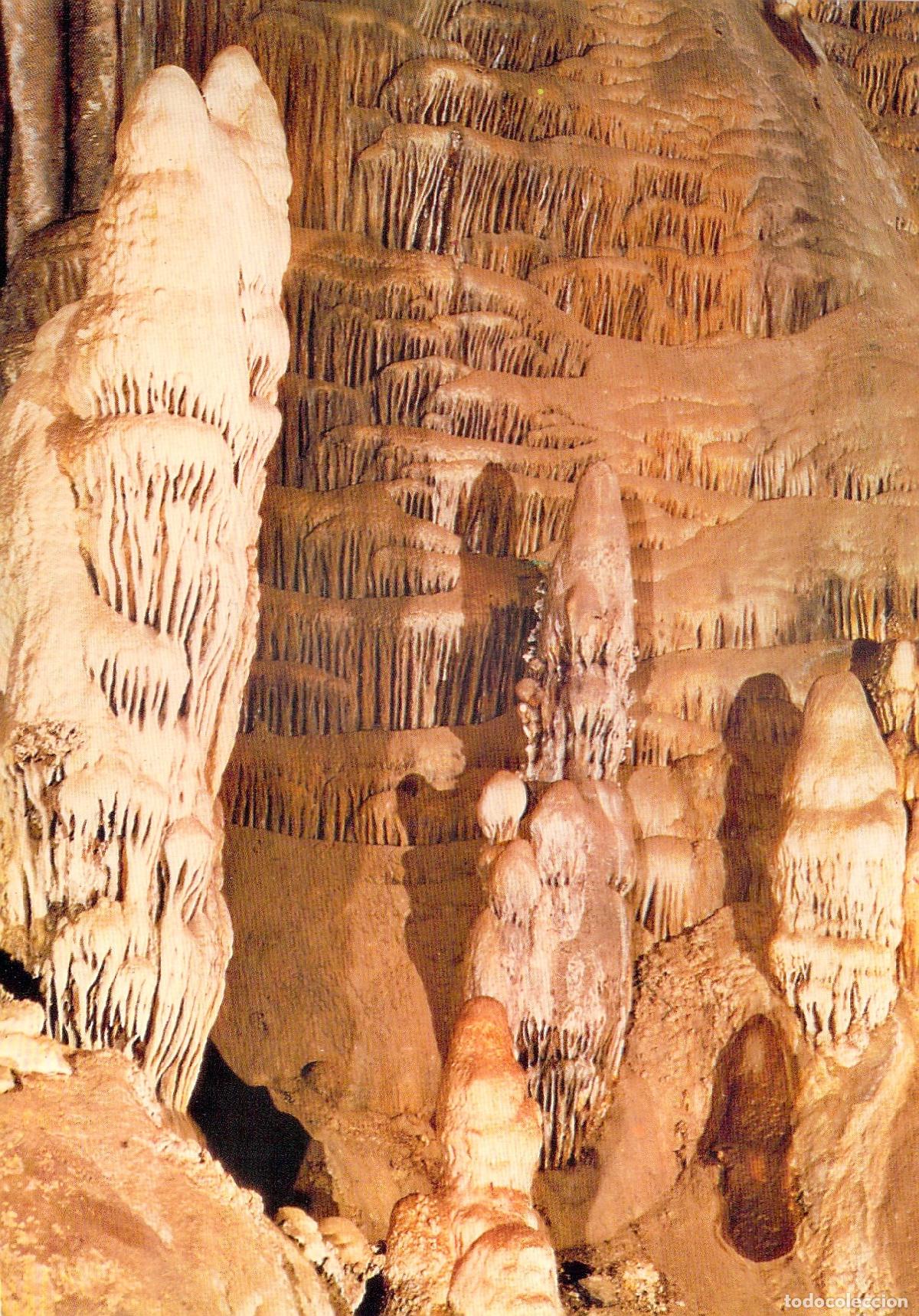Postales: Postal Cueva de Nerja M&aacute;laga El Corderito Sala del Cataclismo