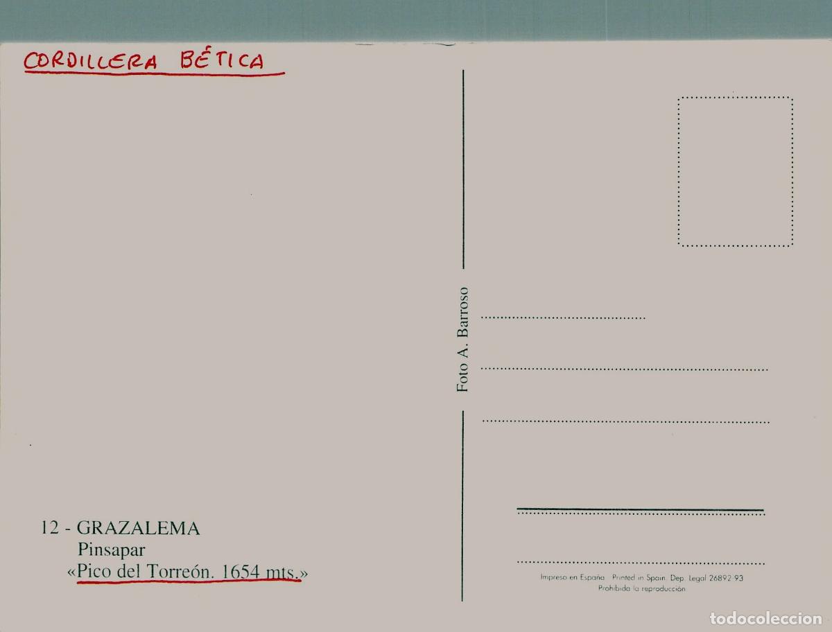 Postales: Postal Grazalema Pinsapar y Pico del Torre&oacute;n - Foto 2