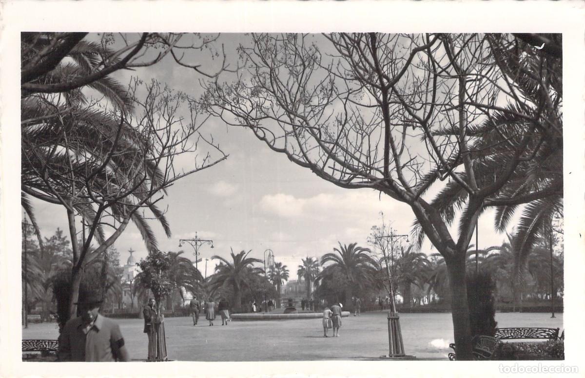 Postales: Postal de Huelva: Paseo de las Palmeras - Foto 1