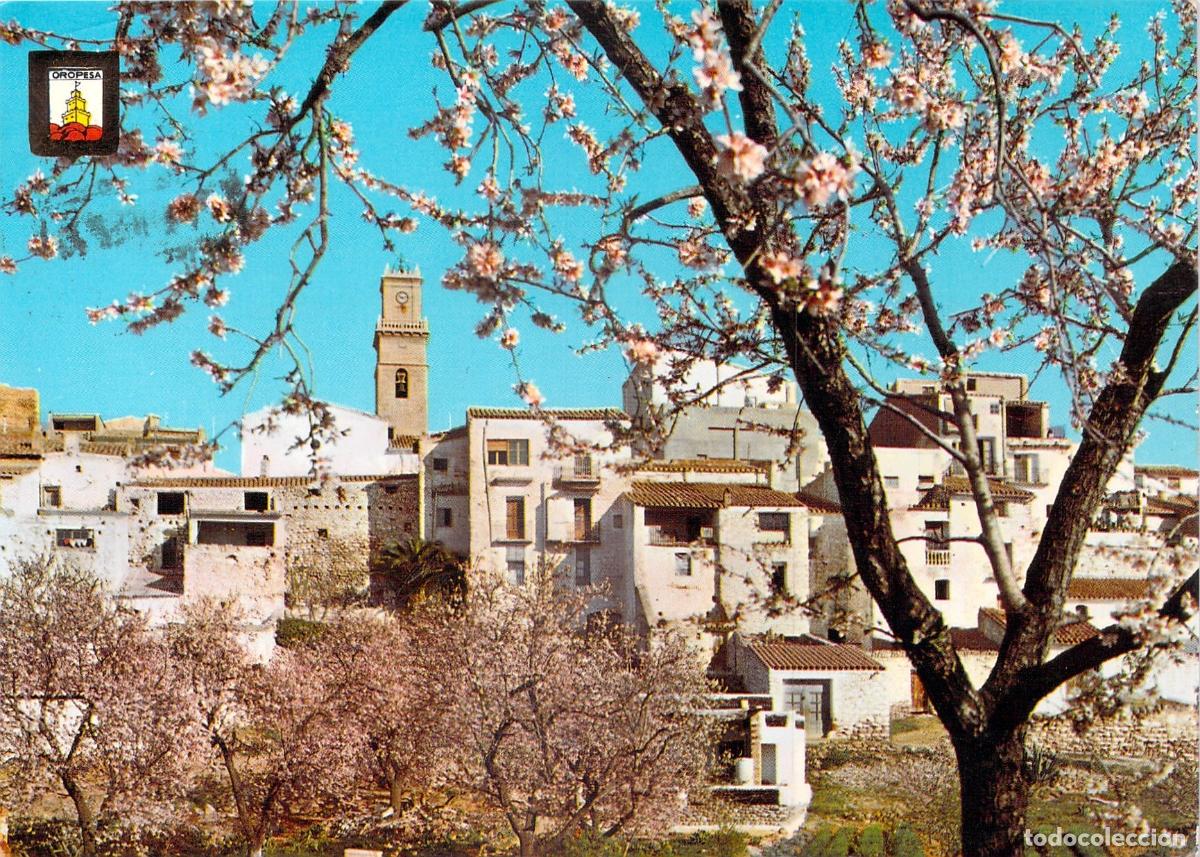 Postales: Postal Oropesa del Mar Castell&oacute;n Vista Parcial Almendros en Flor