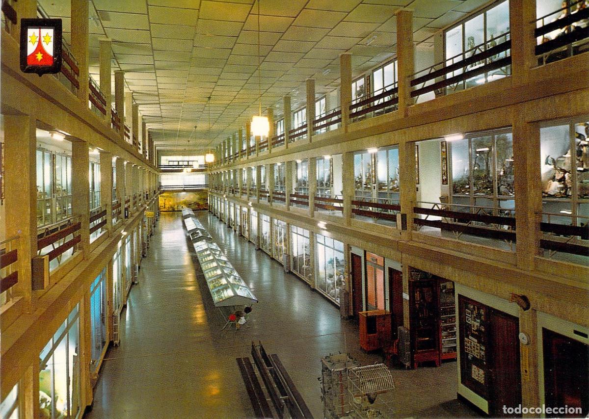 Postales: Postal Museo de Ciencias Naturales El Carmen en Onda Castell&oacute;n