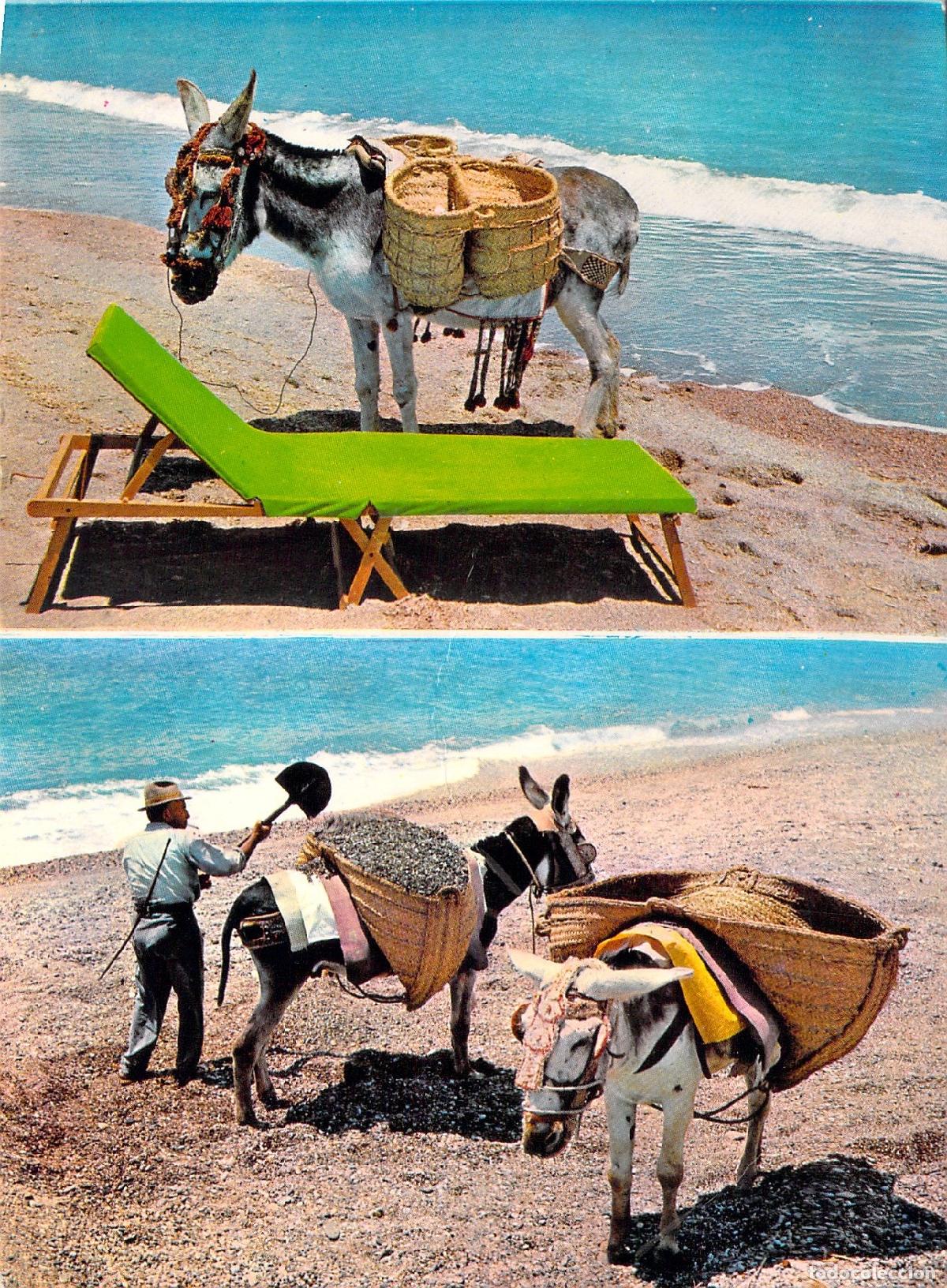 Postales: Postal Espa&ntilde;a T&iacute;pica - Escenas de Burritos en la Playa