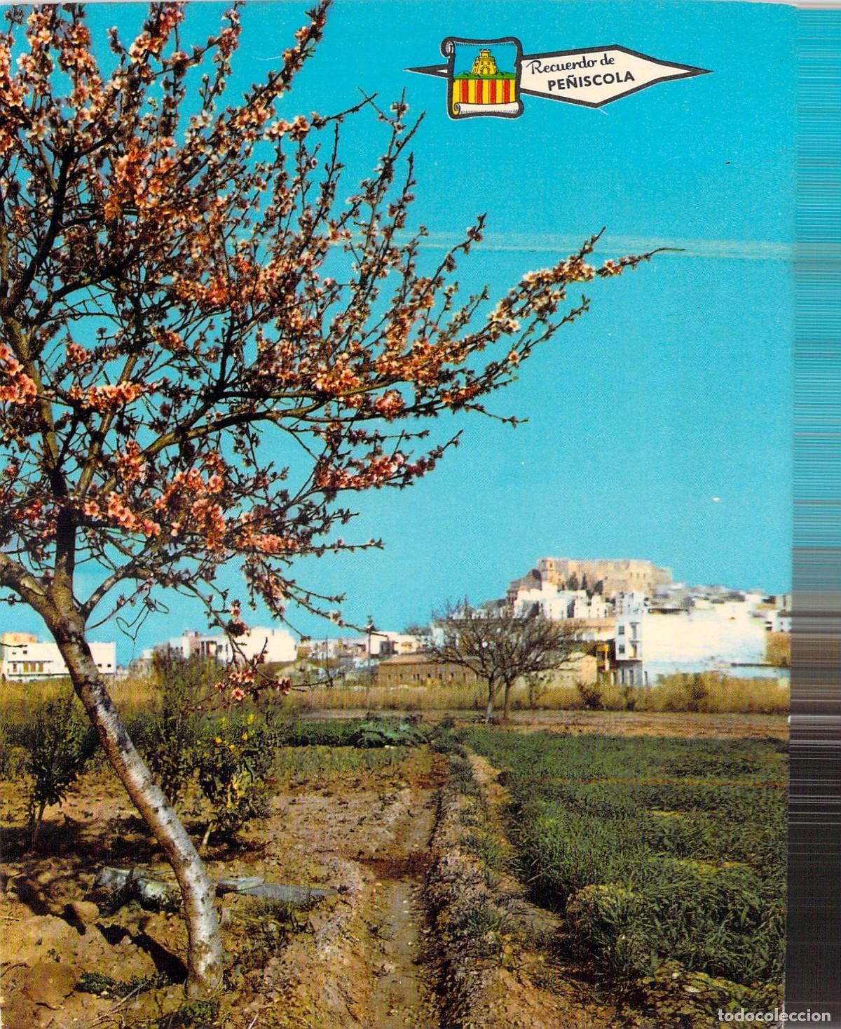 Postales: Postal de Pe&ntilde;&iacute;scola con Vista Parcial y Castillo del Papa Luna