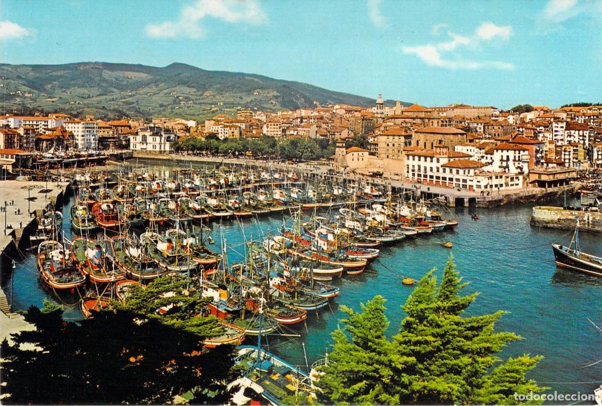 Postales: Postal del Puerto de Bermeo con Barcos de Pesca, Vizcaya