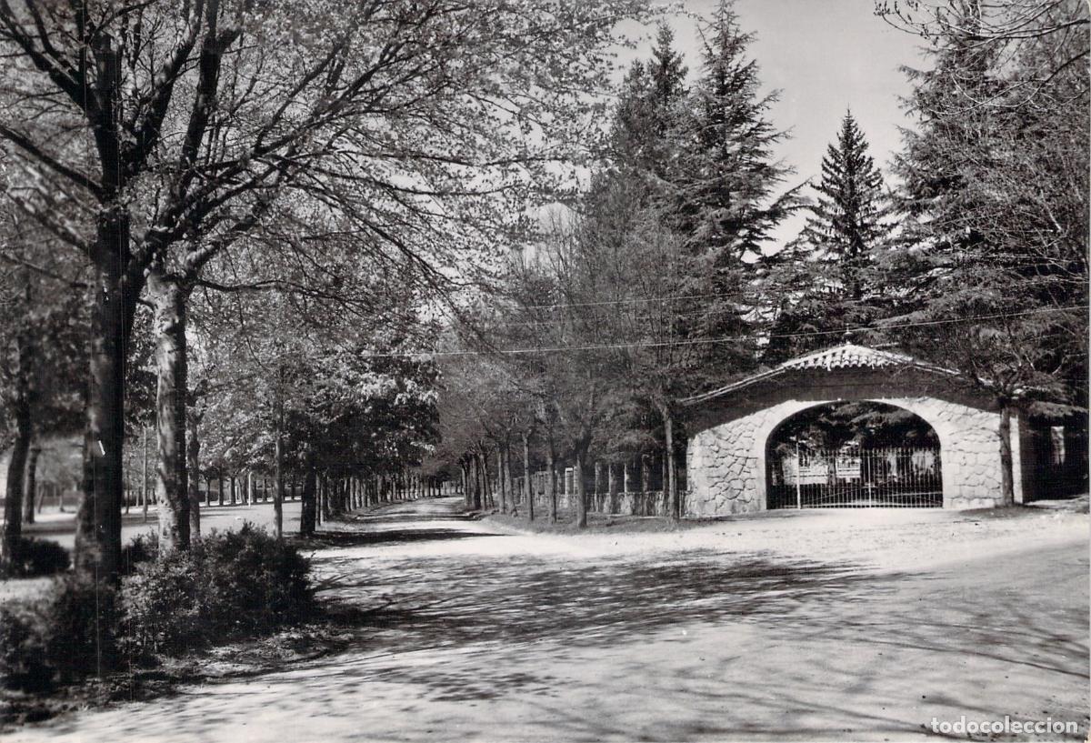Postales: Postal de Camprodon, Avenida Maristany con Paseo Arbolado y Arco
