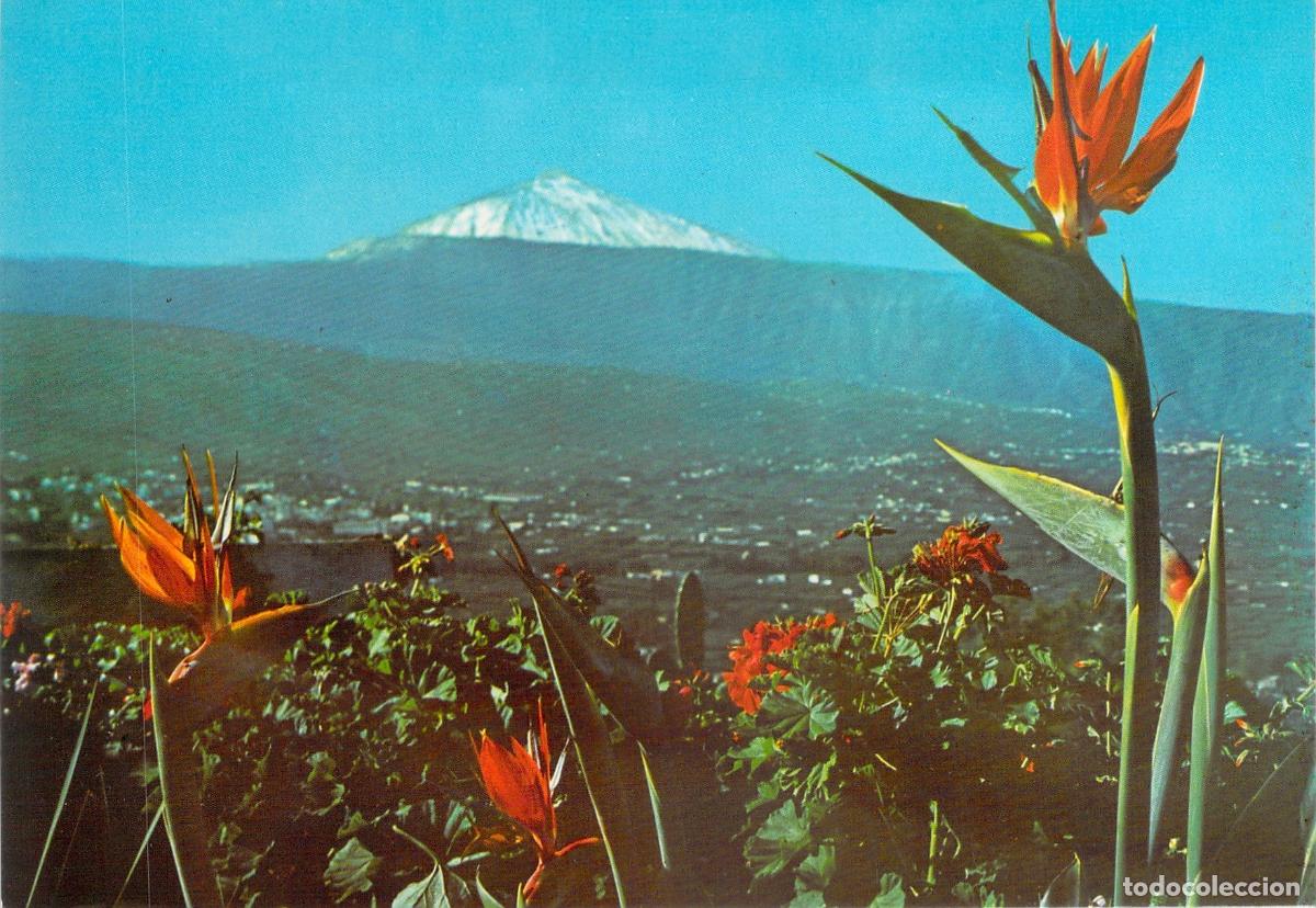 Postales: Postal Puerto de la Cruz Tenerife Paisaje del Valle de la Orotava y Teide