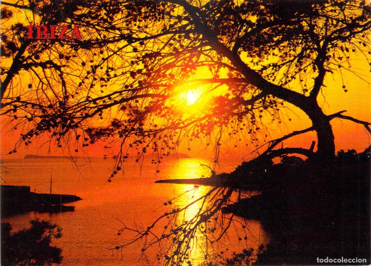 Postales: Postal de Ibiza San Antonio Abad Puesta de Sol