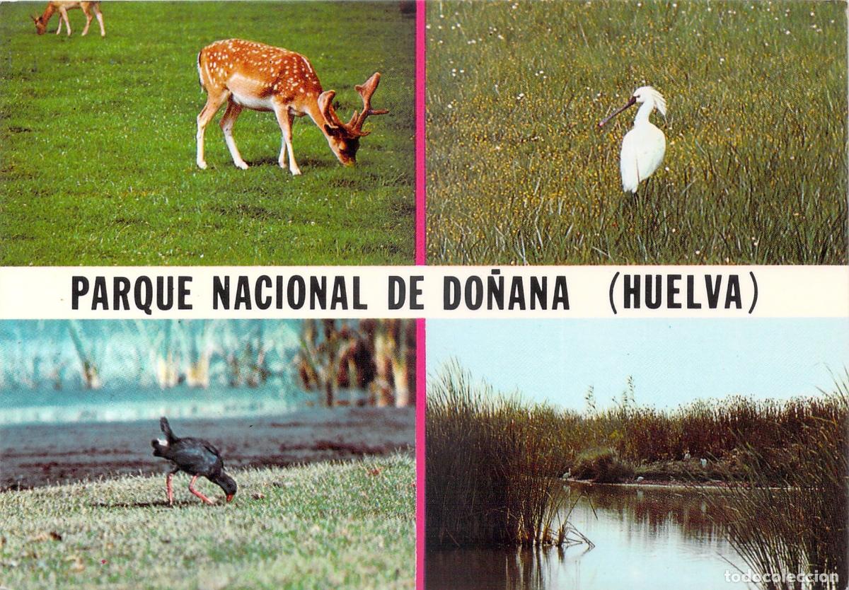 Postales: Postal Parque Nacional de Do&ntilde;ana Huelva Fauna y Paisajes