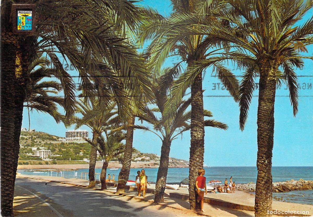 Postales: Postal de Benicasim Paseo de las Villas con Palmeras