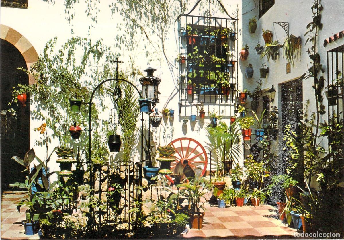 Postales: Postal de T&iacute;pico Patio Andaluz con Macetas y Flores