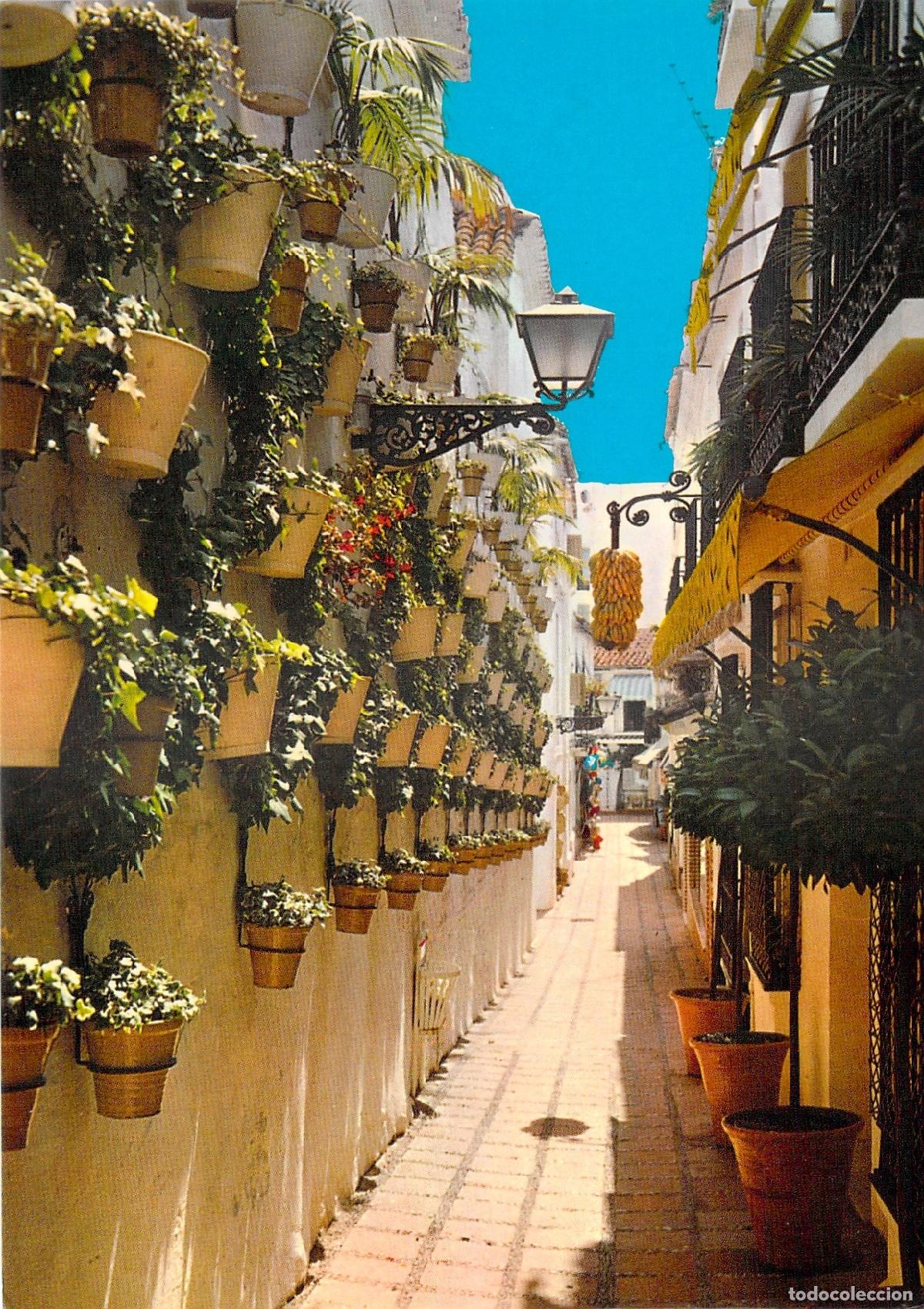 Postales: Postal Calle T&iacute;pica de Marbella con Macetas en la Pared