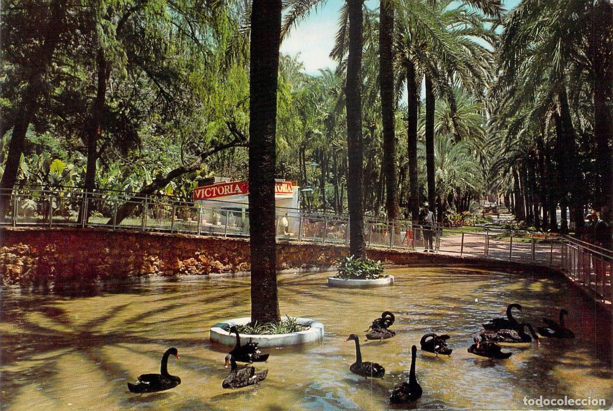 Postales: Postal M&aacute;laga Paseo del Parque Estanque con Cisnes Negros