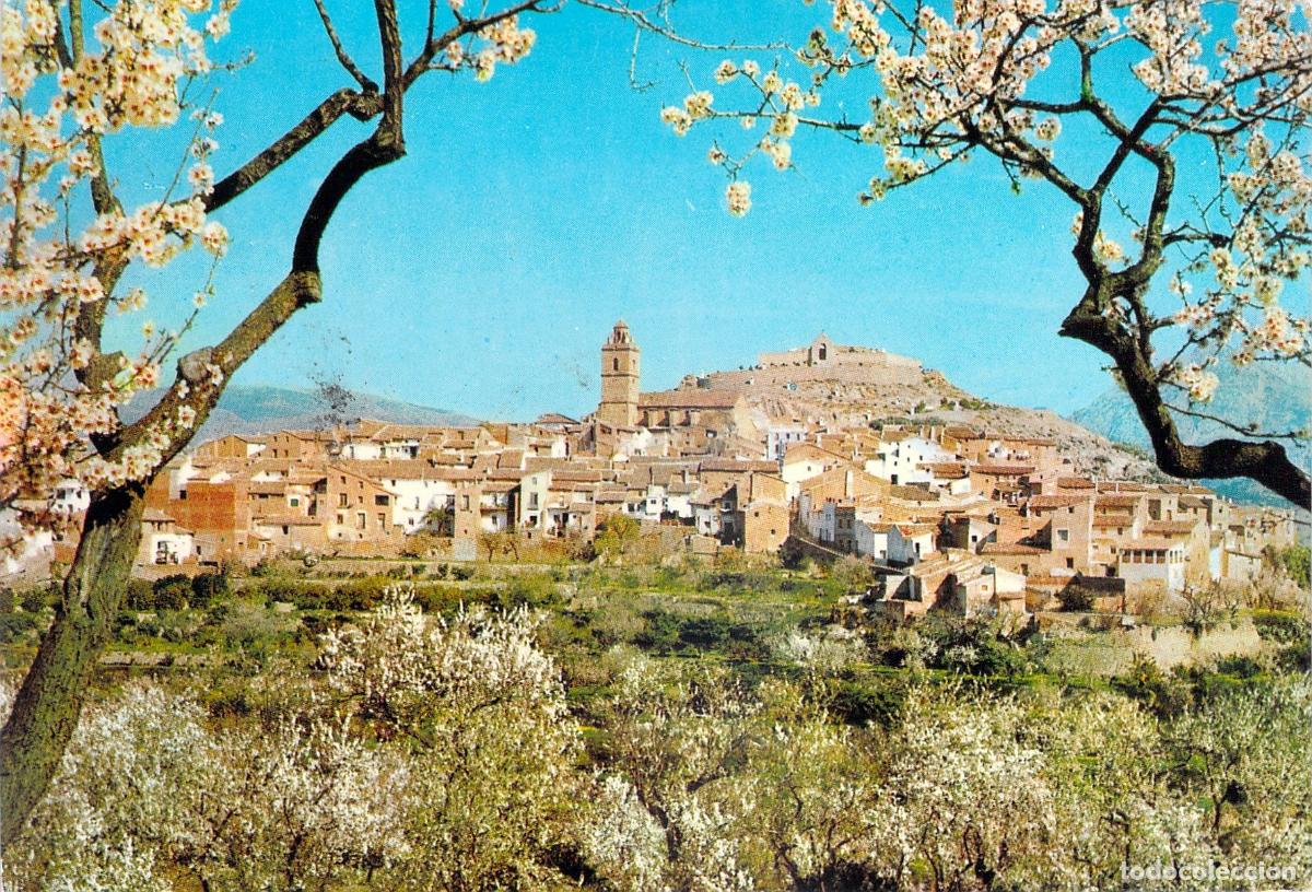 Postales: Postal de Polop de la Marina con Vista Panor&aacute;mica y Almendros, Alicante