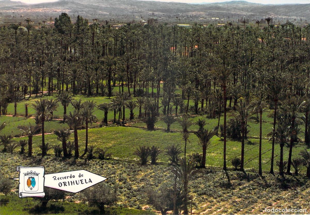Postales: Postal de El Palmeral en Orihuela