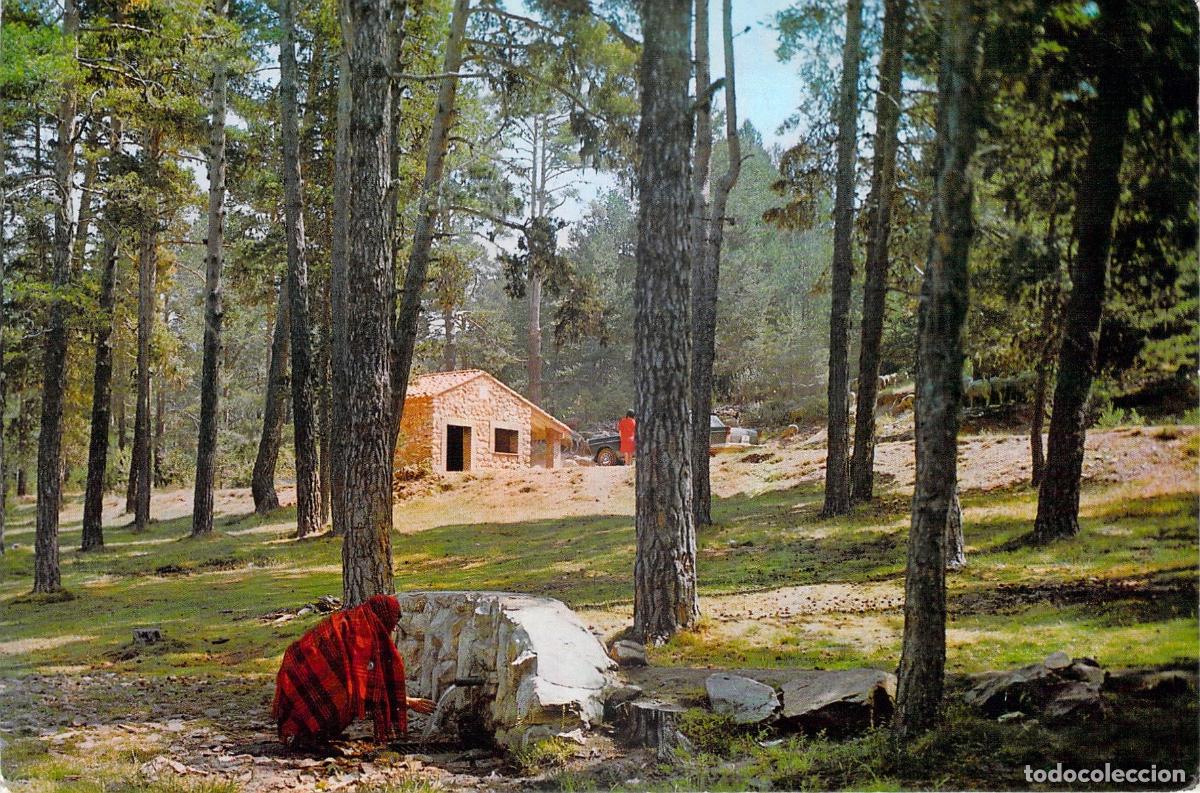 Postales: Postal de Bronchales Teruel - Fuente del Canto en el Bosque