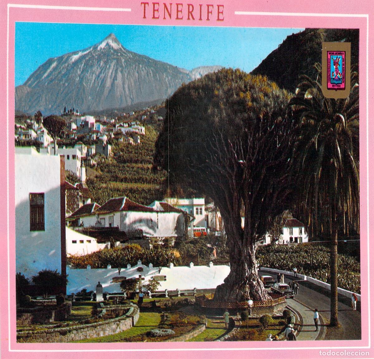 Postales: Postal de El Drago Milenario en Icod de los Vinos, Tenerife