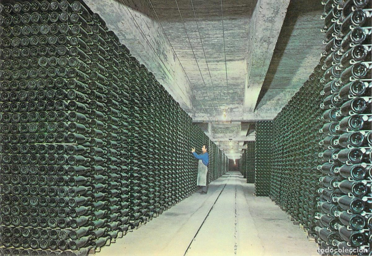 Postales: Postal Cavas Codorn&iacute;u Botellas Envejeciendo en Bodega