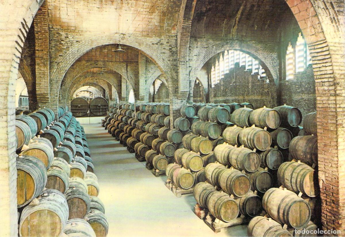 Postales: Postal de Cavas Codorn&iacute;u - Una Bodega en Sant Sadurn&iacute; d'Anoia