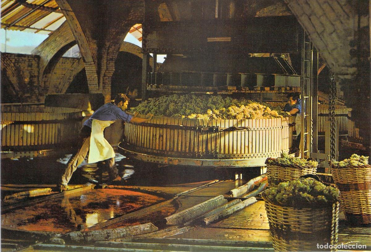 Postales: Postal de Cavas Codorn&iacute;u Prensado de la Uva en la Bodega