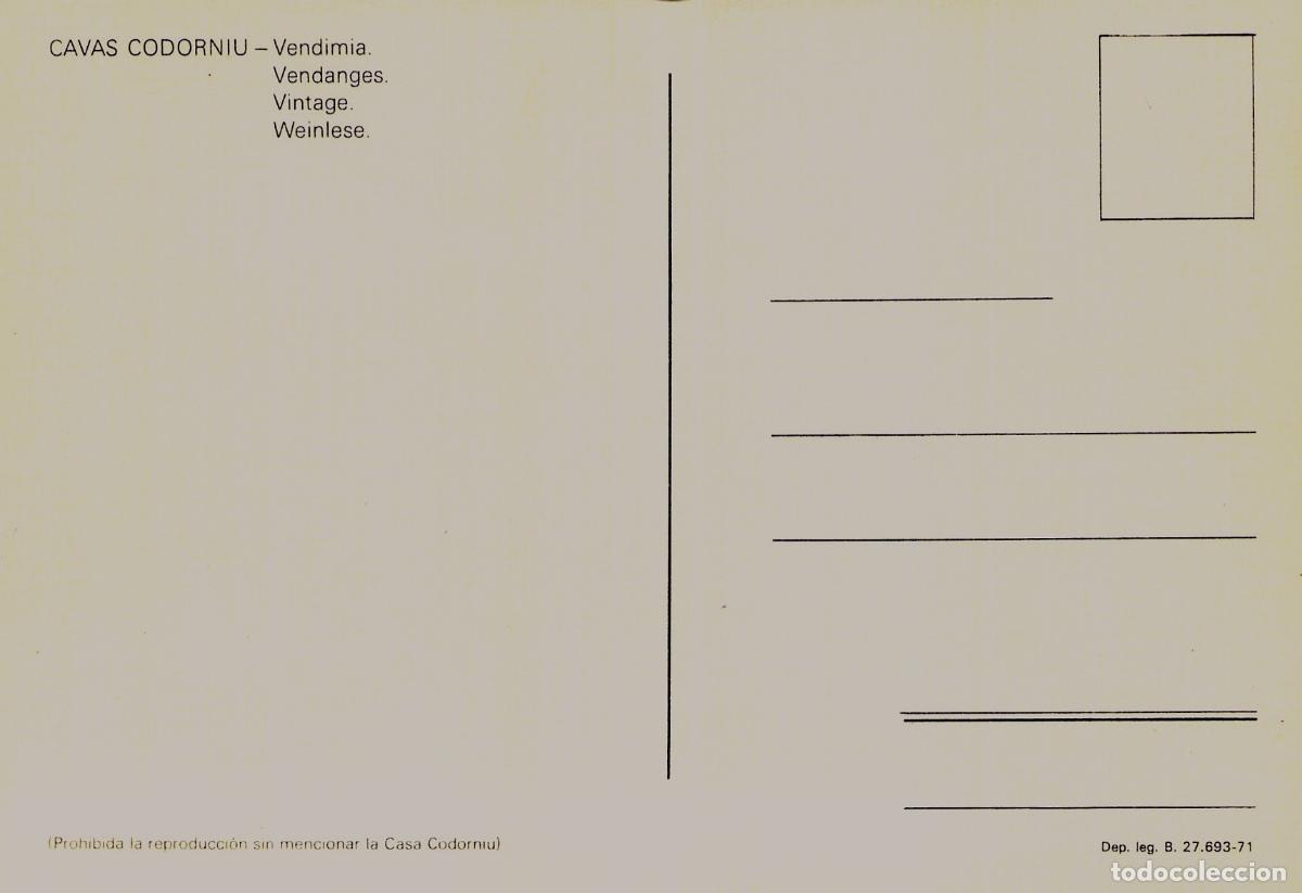Postales: Postal Cavas Codorn&iacute;u Vendimia en los Vi&ntilde;edos - Foto 2