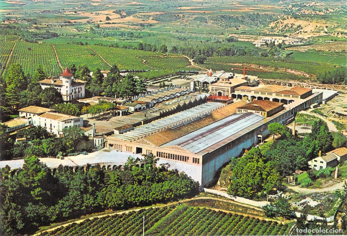 Postales: Postal Cavas Codorn&iacute;u Vista A&eacute;rea Sant Sadurn&iacute; d'Anoia